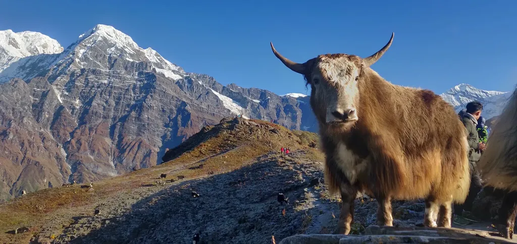 マルディ・ヒマールトレッキング — 写真 2
